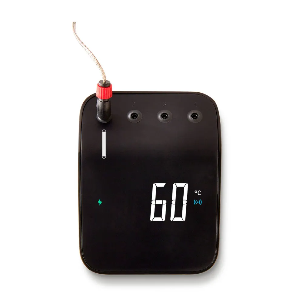 Connect Smart Grilling Hub|Weber Flash Sale