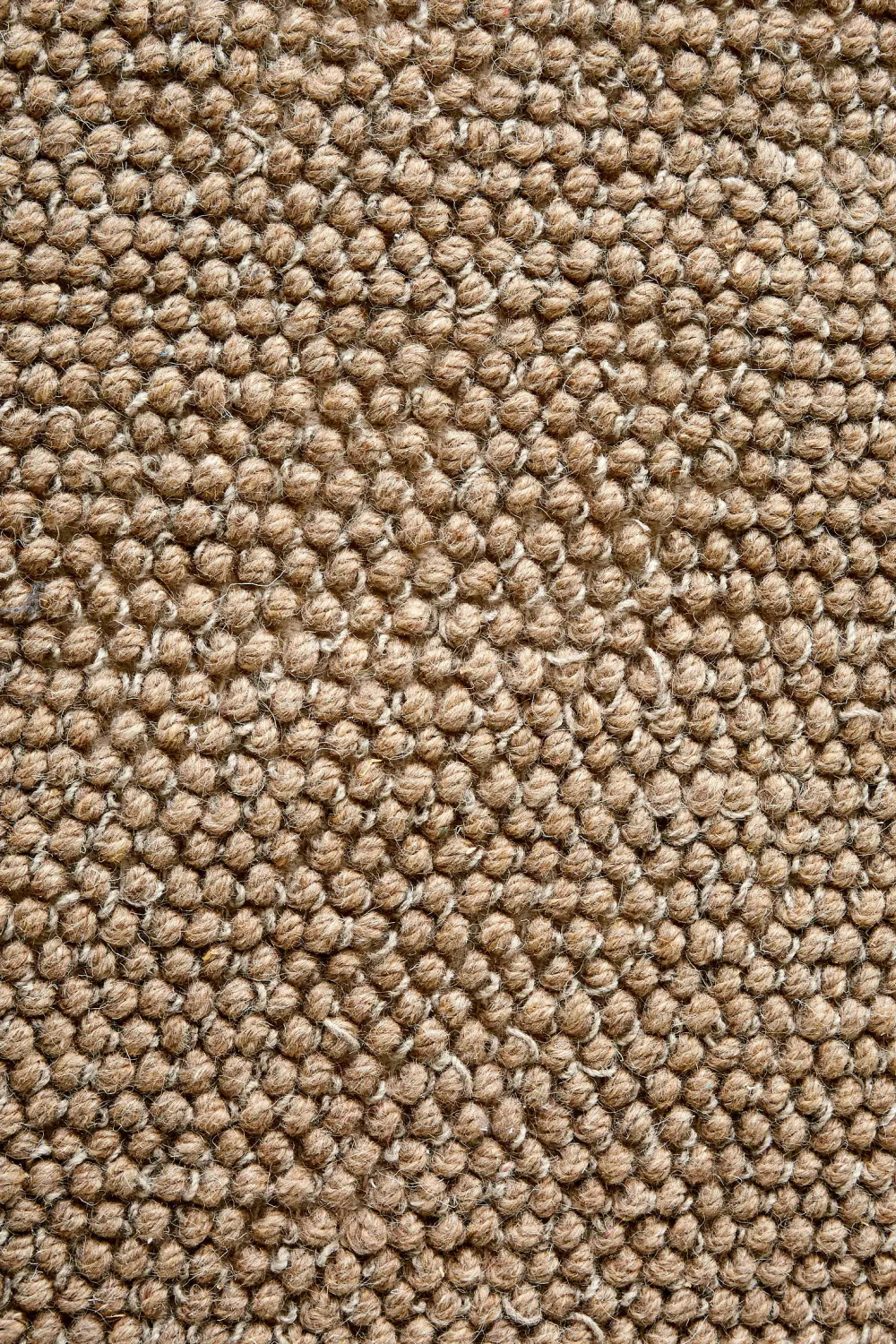 New Wehkamp Home Wollen Vloerkleed Pebbles (290X200 Cm)