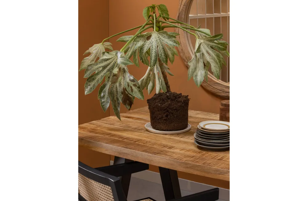 New Woood Eettafel Tablo Mango