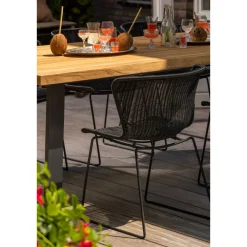 Eettafelstoel Wings - Set Van 2|Woood Sale